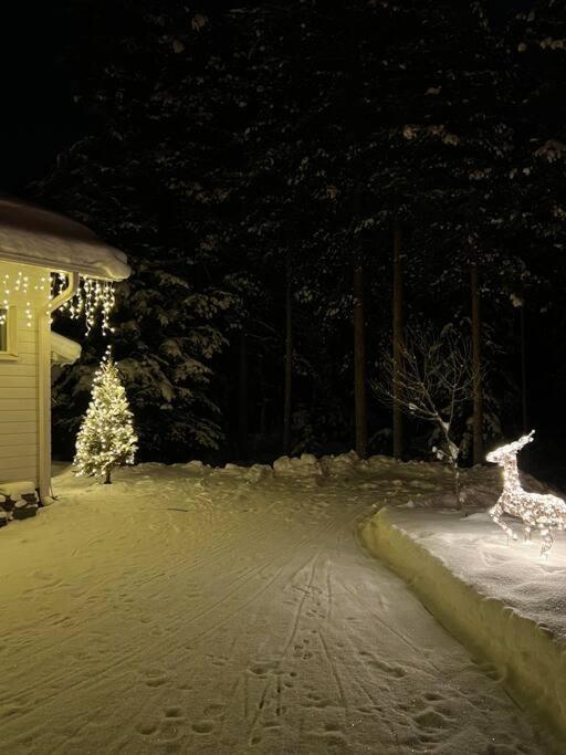 Loma-asunnot Arctic Circle Rovaniemi